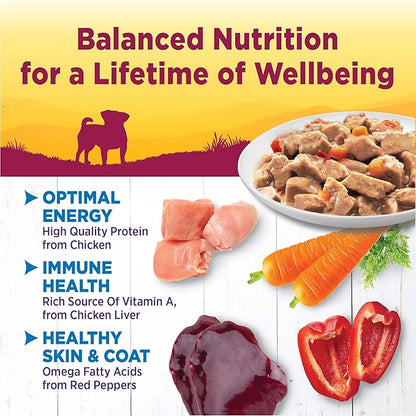 Wellness Natural Pet Food Petite Entrees Mini Fillets Grain Free Natural Wet Small Breed Dog Food, Roasted Chicken, Carrots & Red Peppers, 3-Ounce Cup (Pack of 24)