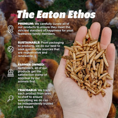 Eaton Pet and Pasture Premium Grubs, USA Grown Dried Black Soldier Fly Larvae, High Calcium Treat for Chickens, Ducks, Wild Birds (5 LB)
