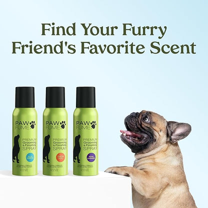 PAWFUME Dog Perfume Spray for Grooming, Blue Ribbon, 4-Pack – Keep Your Pup Fresh All Day – Probiotic, Alcohol-Free, Detangling & Moisturizing – Salon-Quality Dog Spray Deodorizer Perfume