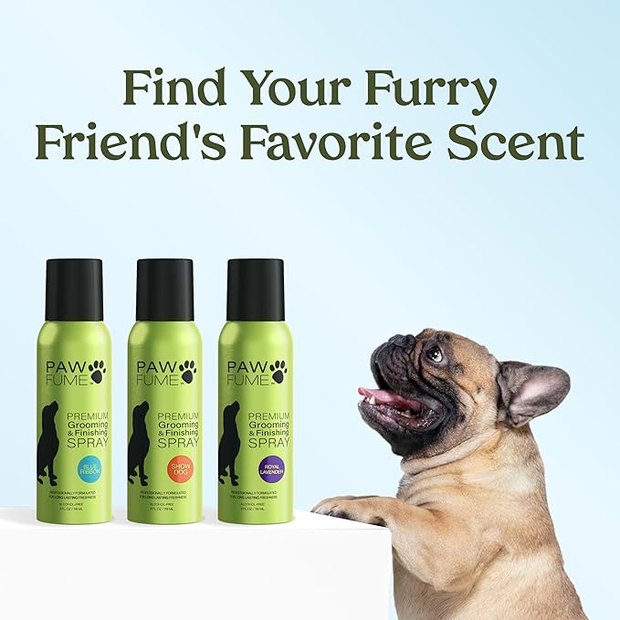 PAWFUME Dog Perfume Spray for Grooming, Blue Ribbon, 1-Pack  Keep Your Pup Fresh All Day  Probiotic, Alcohol-Free, Detangling & Moisturizing  Salon-Quality Dog Spray Deodorizer Perfume