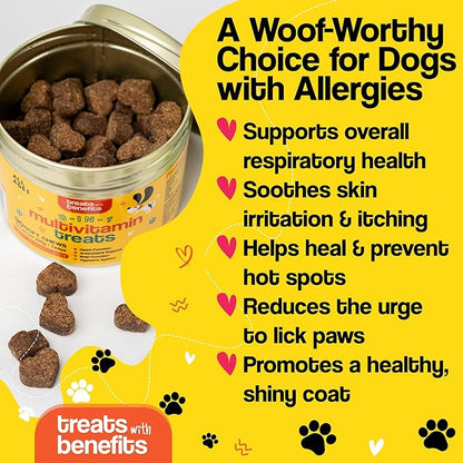 Dog Allergy Relief  8 in 1 Multivitamin Dog Chewables for Senior Dogs Allergies - Antioxidant Superfood Pet Vitamins for Digestion, Hip, Joint, Heart, Brain Health, 90 Soft Chews