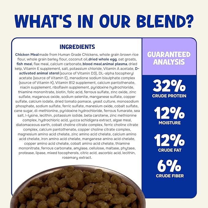 Wholesome Balance Sugar Glider Food - Honey & Yogurt | 1.5 lbs of Premium Dense Food for Sugar Gliders and Small Animals - 2 Months Supply