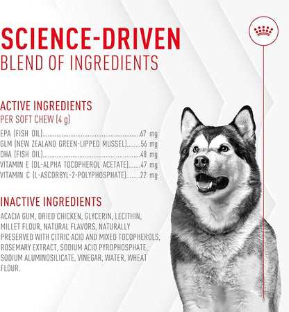 Royal Canin Joint Dog Supplement Soft Chews for Adult Dogs, 60 Count