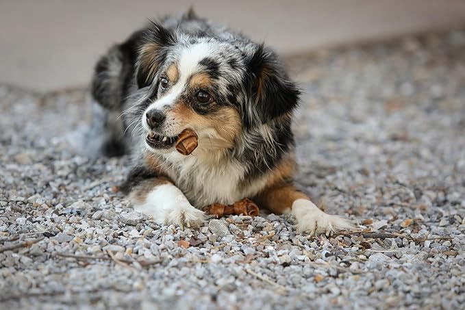 Real Peanut Butter Dog Treats Mini Bones, (16ct) Collagen Smart Bones for Dogs Rawhide for Small and Medium Breeds,Collagen Sticks for Dogs.