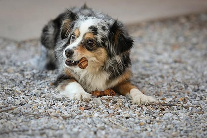 Real Peanut Butter Dog Treats Mini Bones, (16ct) Collagen Smart Bones for Dogs Rawhide for Small and Medium Breeds,Collagen Sticks for Dogs.