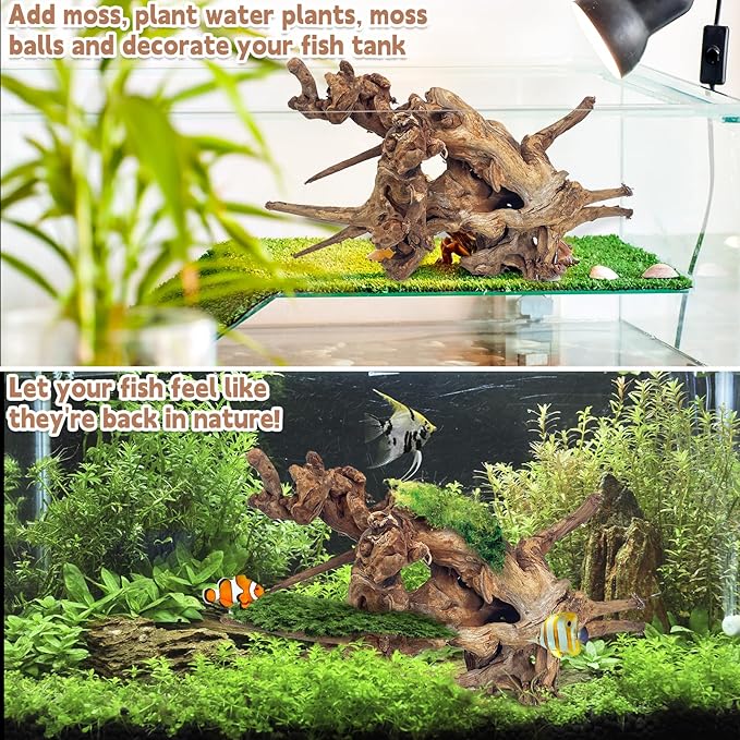 PINVNBY Natural Driftwood for Aquarium Fish Tank Decorations Assorted Branches Bearded Dragon Tank Accessories Terrarium Decor (6.5-12 inches/4 Pack)
