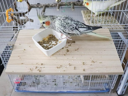 13.6×7.9 Inches Large Bird Perch Stand Platform, Natural Wooden Small Animals Cage Accessories, Rectangle Stand Perch Shelf for Parrot Parakeet Cockatiel Rat Hamster Guinea Pig Conure Chinchillas