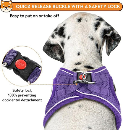 Dog Harness with Leash Set, No-Pull Step-in Reflective Pet Harness with 1 Leash Clips, Adjustable Soft Padded Easy Walk Dog Vest for Small Medium Large Dogs, Cats(Light Purple, Small)