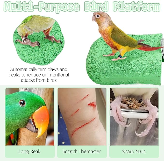 PINVNBY 5 Pack Bird Perch Resin Bird Beak Grinding Stone Parrot Cage Stand Platform Foot Claws Trimmer Chew Toy Cage Accessories for Budgie Cockatiel Conure Lovebird Finch (Green)