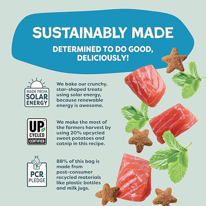 Shameless Pets Crunchy Cat Treats - Catnip Treats for Cats with Digestive Support, Kitten Treats with Real Ingredients, Natural & Healthy Flavored Feline Snacks - Catnip N Chill Tuna, 12 oz