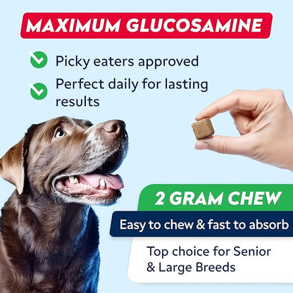 STRELLALAB Advanced Glucosamine Hip & Joint Supplement for Senior Dogs - Green Lipped Mussel & Collagen - Hip & Joint Pain Relief - Large & Small Breed - Joint Health - Bacon - 120 Chews