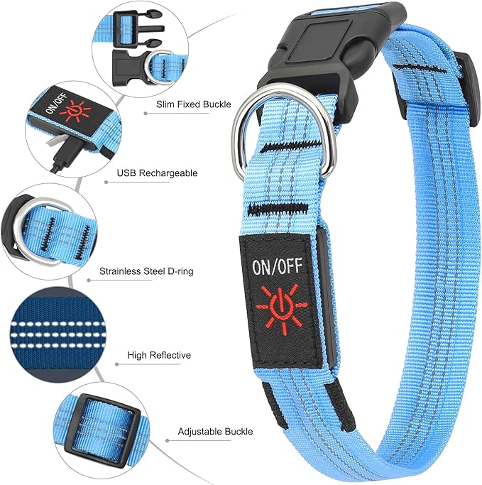 BSEEN Light Up Dog Collars - Glowing LED Dog Collar, Reflective Puppy Collar, Adjustable Lighted Dog Collar, Rechargeable Pet Collar for Night Walking (Blue-II, Small)