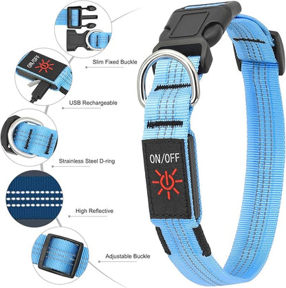 BSEEN Light Up Dog Collars - Glowing LED Dog Collar, Reflective Puppy Collar, Adjustable Lighted Dog Collar, Rechargeable Pet Collar for Night Walking (Blue-II, Small)