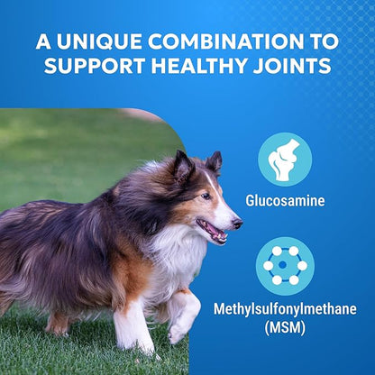 Nutramax Cosequin Elements Dogs Joint Health Supplement, Contains Glucosamine for Dogs, MSM, Supports Healthy Joints, For All Breeds and Sizes, Chewable Tablets, 75 Count
