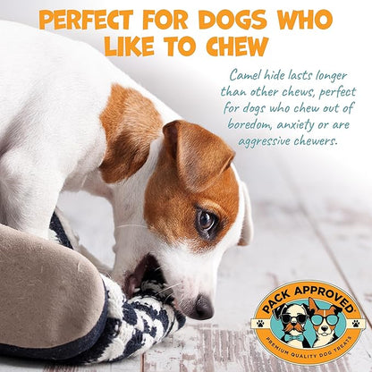6" Braided Camel Sticks - Long Lasting Dog Chews for Aggressive Chewers - Rawhide Alternative, Grain Free, One Ingredient Treats - Great for Dog Dental Care - (10 Pack)