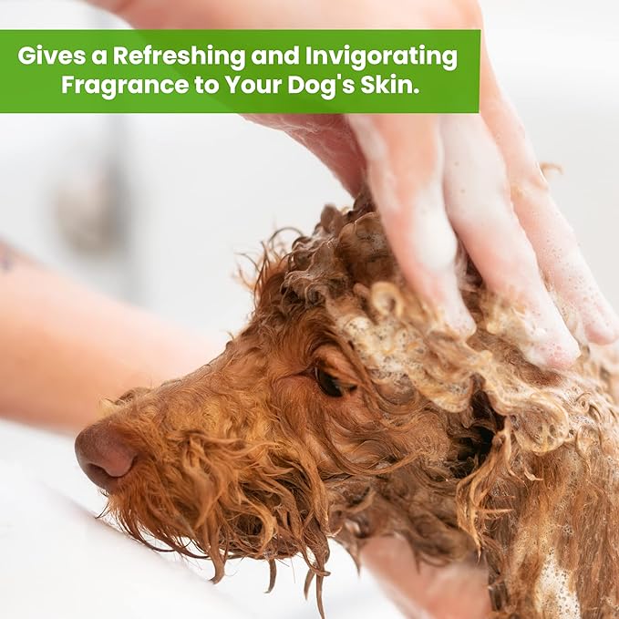 Dog Shampoo and Conditioner - Aromatic Tearless Shampoo for Cleansing, Grooming, and Conditioning - Moisturizing Shampoo for Dogs and Puppies - Eucalyptus Peppermint 13.5 oz
