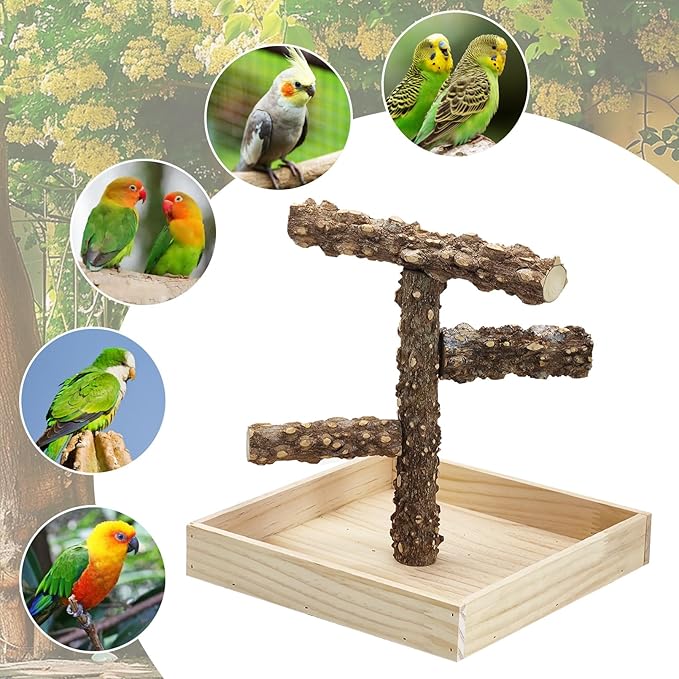 BNOSDM Portable Bird Perch Stand with Potty Tray, Natural Wood Tabletop Training Gym Parrot Playground Toy for Budgies, Cockatiels, Lovebirds,Conures Canaries
