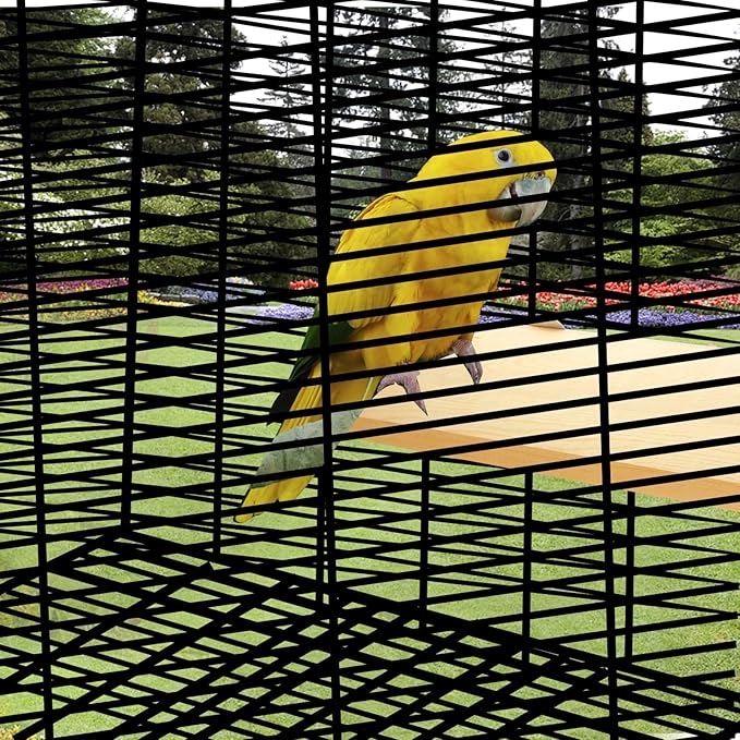 4 Pack 5 x 12 Inches Bird Perches - Natural Wooden Flat Bird Perch - Rectangle Bird Perch Stand Platform for Parrot, Budgies, Parakeet, Cockatiels, Conure, Lovebirds