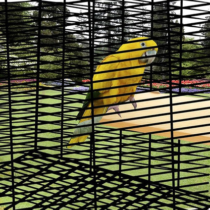 4 Pack 5 x 12 Inches Bird Perches - Natural Wooden Flat Bird Perch - Rectangle Bird Perch Stand Platform for Parrot, Budgies, Parakeet, Cockatiels, Conure, Lovebirds