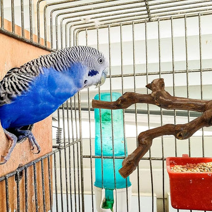 2 Packs Parrot Bird Perches,Natural Wild Grape Stick Grinding Paw Climbing Standing Cage Accessories Toy for 3-4 Parakeets, Budgies, Lovebirds,Cockatiels (Style-1)