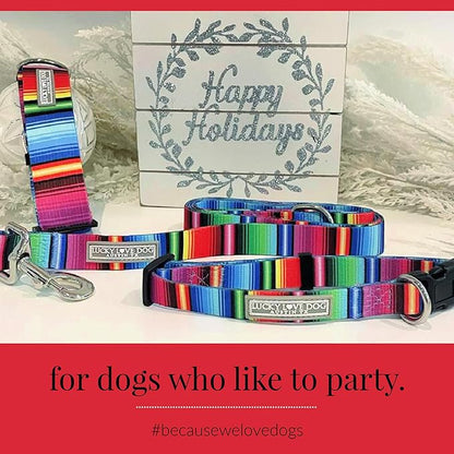 Lucky Love Dog Collars, Rainbow Striped Dog Collar for Big Dogs, Vivid Pattern Girl or Boy Dog Collars, Nacho, Extra Large