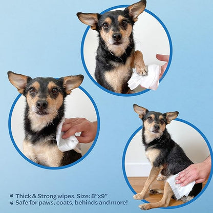 Best Pet Supplies Pet Wipes for Dogs - Dog Wipes Cleaning Deodorizing, for Coats, Ears, Paws - Calming Lavender, Aloe Vera, 100 Count