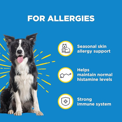 WILDPAW WonderBites for Fast Allergy Relief - Pet Supplement to Support Itchy Skin & Allergy Relief - Dog Skin & Coat Health Supplement - 90 Soft Chews