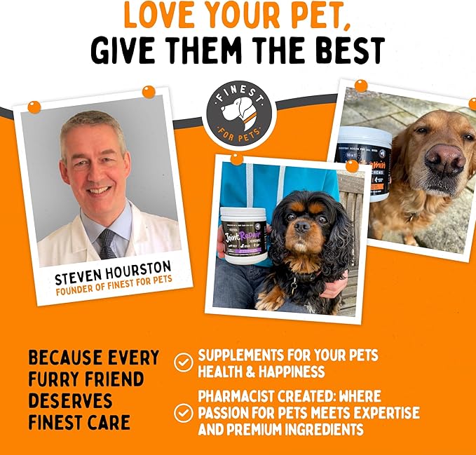 Finest For Pets Multivitamin Dog Supplement – 10 in 1 with Omega Fish Oil & Glucosamine for Improved Joint & Skin Support, Gut, Digestion & Immune Everyday Health (120 Chewable Treats)