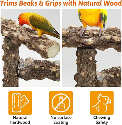 BNOSDM Portable Bird Perch Stand with Potty Tray, Natural Wood Tabletop Training Gym Parrot Playground Toy for Budgies, Cockatiels, Lovebirds,Conures Canaries