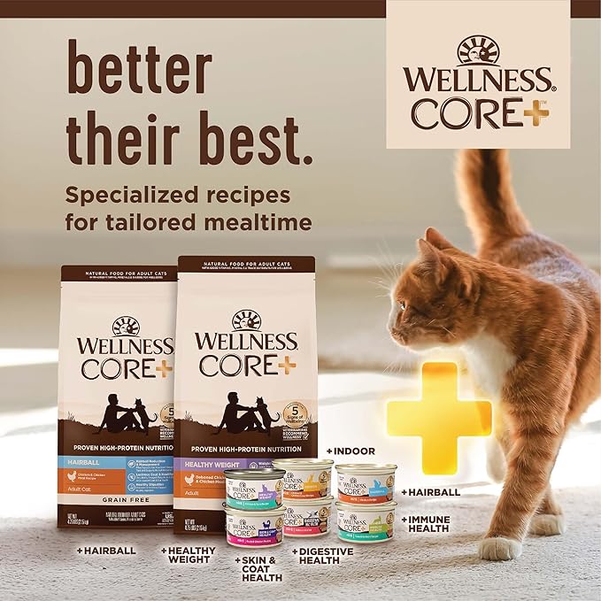 Wellness CORE+ Adult Dry Cat Food for Indoor Cats, Grain-Free, Natural, Chicken, Turkey & Chicken Meal (5 Pound Bag)