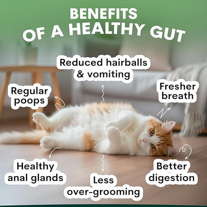 Probiotic for Cats & Kittens - Cat Probiotic Powder for Hairball Prevention, Digestive Support, Immune Health, Prebiotics, and Diarrhea Relief - Suitable for Indoor Cats & Kittens - 60 Scoops