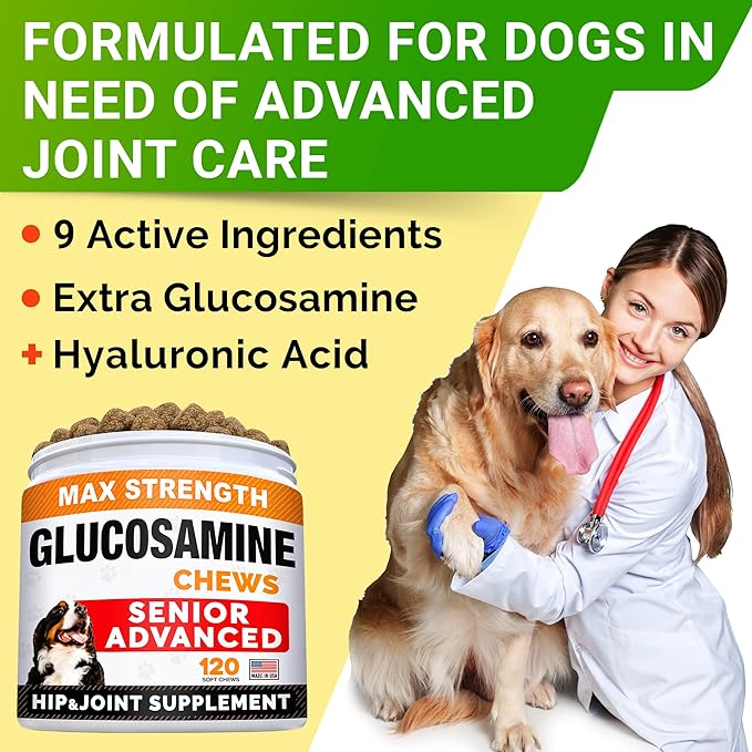Senior Advanced Glucosamine Joint Supplement + Glucosamine Treats for Dogs Bundle - Hip & Joint Pain Relief + Advanced Mobility - Omega-3 Fish Oil, Chondroitin, MSM - Small + Large Breeds - 240 Chews