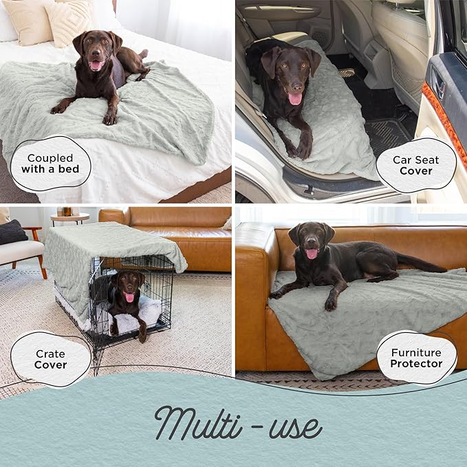 Best Friends by Sheri Calming Lux Dog Blanket, Gray, 40" x 50"