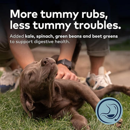 ZIWI Peak Steam & Dried Dog Food - Grass-fed Lamb w/Vegetables - High Protein, Low Carb, All Breeds & Lifestages, for Digestive Health (28.8oz)