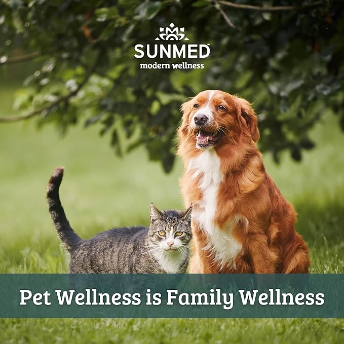 Sunmed Movin' Easy Hemp Pet Chews for Joint Health & Mobility  Omega-3, Green Lipped Mussels, 5mg Hemp Extract  Supports Flexibility & Comfort | Beef Liver & Sweet Potato, 40 Count