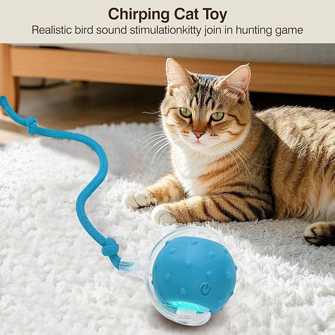 Electric Interactive Cat Toy Ball - Automatic Rolling Silicone Cat Toys for Indoor Cats, Durable Chew-Proof Motorized Kitty Ball with LED Light, Fun Exercise Toys for Bored Kittens（Blue）