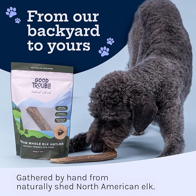 Good Trouble Pets Premium Elk Antlers for Large Dogs - All-Natural, Shed Antler Chews for Dental Health & Calming - Durable Dog Bones for Aggressive Chewers - Cruelty-Free, North American Sourced
