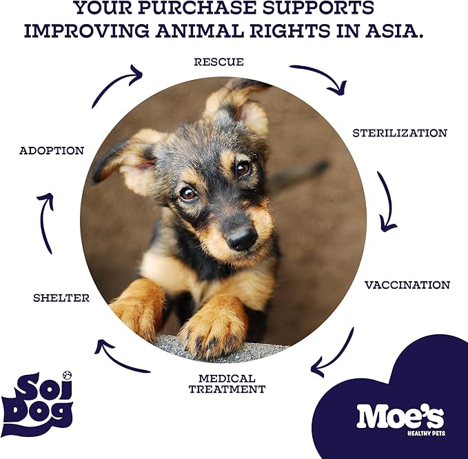 Moe_ Dog Joint Supplement 90 Soft Chews  Glucosamine, Chondroitin & Hyaluronic Acid with Vitamins C & E  Advanced Hip and Joint Support for Dogs  Ideal for Bone Health & Joint Pain Relief