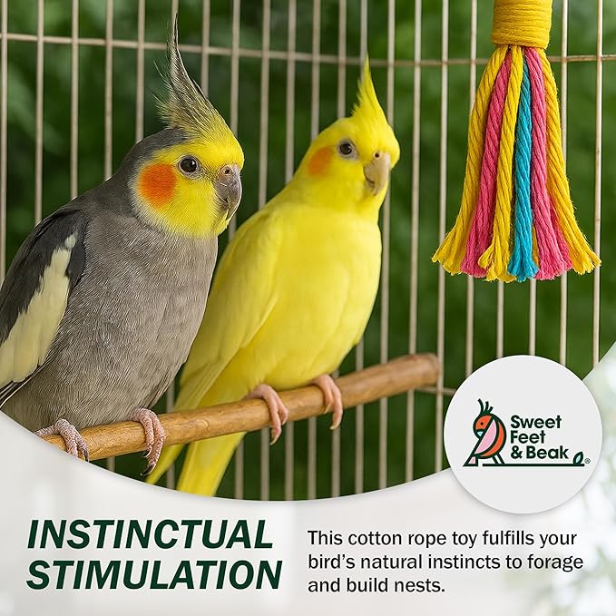 Platinum Tweeter Weave Bird Toys - Perfect Cage Toy for Playing & Preening - Colorful, Safe, Cotton Rope - Birds Cage Playground Accessories & Supplies - Parrot Toys (Large)