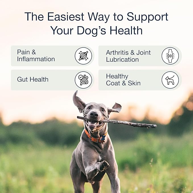 Pure Dogs Hip & Joint Dog Chews - Glucosamine Chondroitin & Green Lipped Mussel for Joint Pain Relief, Function & Mobility, Gut & Digestive Support - for Large & Small Breeds - 90 Chews