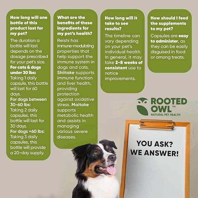 Rooted Owl Natural Immunity - Cat and Dog Immune Support - Triple Mushroom Supplement for Dogs & Cats with Reishi, Shiitake and Maitake Mushrooms - 60/ct Vegan Capsules