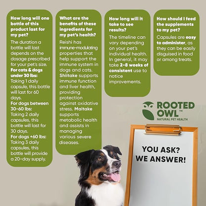 Rooted Owl Natural Immunity - Cat and Dog Immune Support - Triple Mushroom Supplement for Dogs & Cats with Reishi, Shiitake and Maitake Mushrooms - 60/ct Vegan Capsules