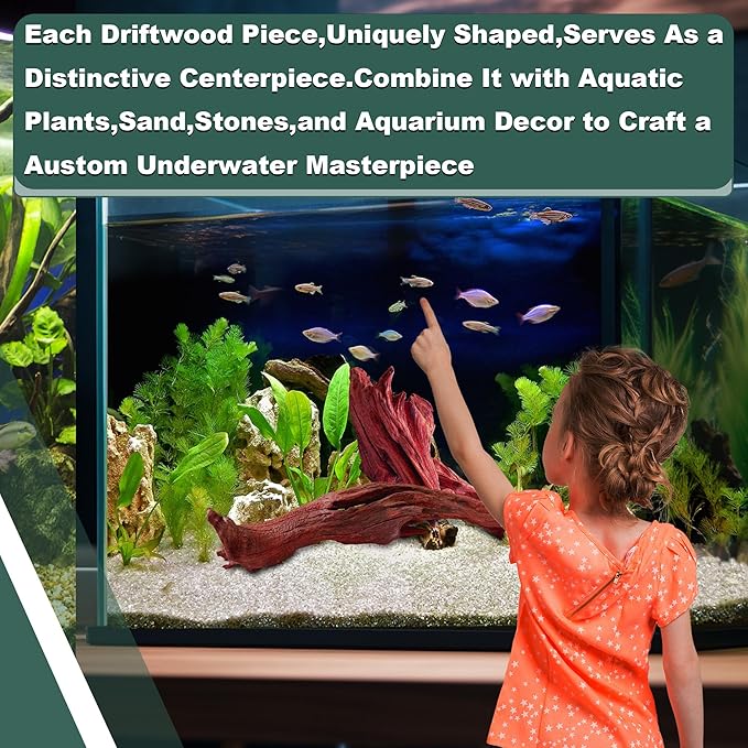 Natural Wood Driftwood for Aquarium Fish Tank Decor,Assorted Trunk Driftwood Branch for Reptile Decor (ZYM Driftwood Medium (8 to12 Inch)-Pack of 1)