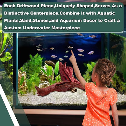 Natural Wood Driftwood for Aquarium Fish Tank Decor,Assorted Trunk Driftwood Branch for Reptile Decor (ZYM Driftwood Medium (8 to12 Inch)-Pack of 1)