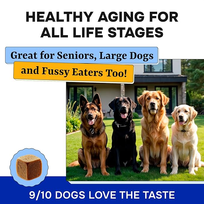 Dog Vitamins + Glucosamine - Chewable Multivitamins + Probiotics, Omega - Hip & Joint Support, Skin & Coat, Gut Health - Adult & Senior - Large & Small Breed - 120 Chews