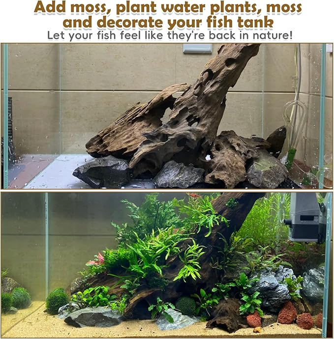 PINVNBY Natural Driftwood for Aquarium Large Reptile Terrarium Decor Decorations Assorted Branches Dearded Dragon Tank Accessories (7-11.5 inches/2 Pack)