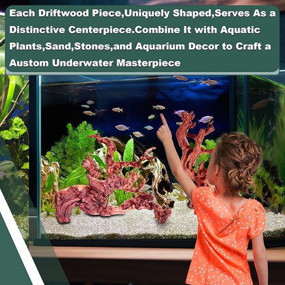Natural Coral Driftwood for Aquarium Fish Tank Decor,Assorted Trunk Driftwood Branch for Reptile Decor (Coral Driftwood Medium (12 to15 Inch)-Pack of 2)