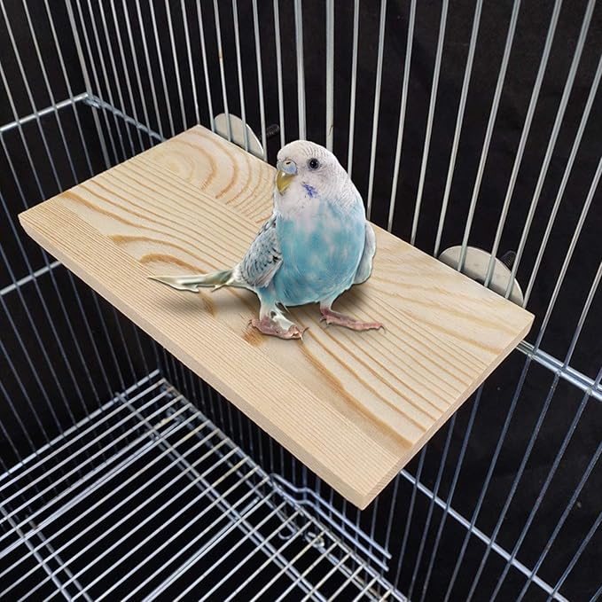 6 Pcs Bird Perches Parrot Perch Stand Platform Bird Cuttlebone Beak Grinding Stone Chew Toys Cage Accessories for Parakeets Cockatiels Conures Lovebirds