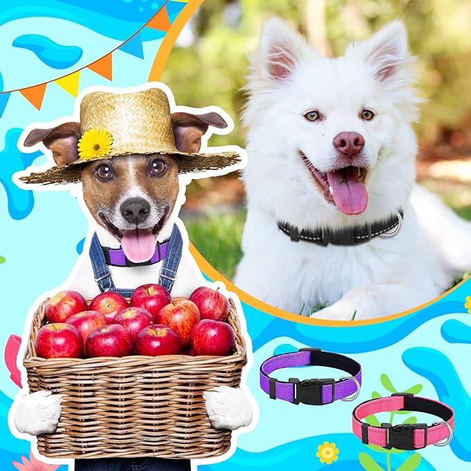 6 Pcs Reflective Dog Collar Soft Padded Breathable Adjustable Nylon Pet Collar with Safety Locking Buckle for Dogs Cats Puppy Pets Accessories(Large,Fresh Color)