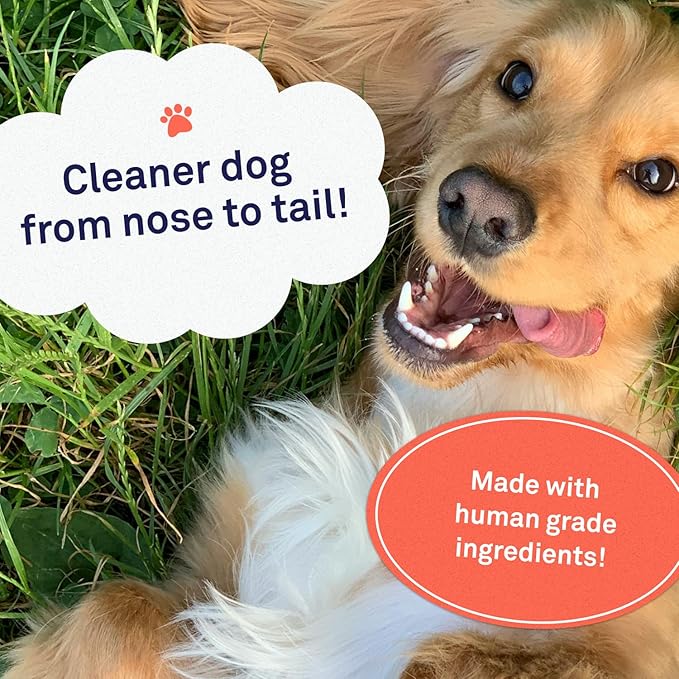 Petpost | Argan Shampoo for Dogs - Naturally Heals, Protects, & Rejuvenates Dog Dry Skin & Coat - Argan Oil and Aloe Formula 8 oz.